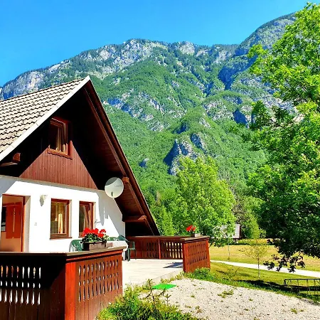 Bohinj Star Apartments Exterior photo