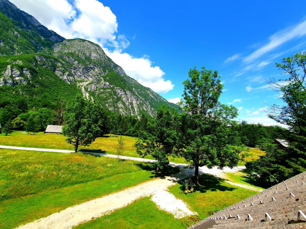 Star Apartment Bohinj
