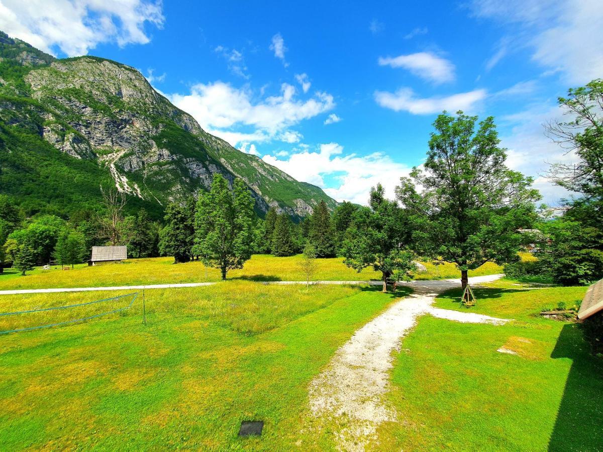 Star Bohinj