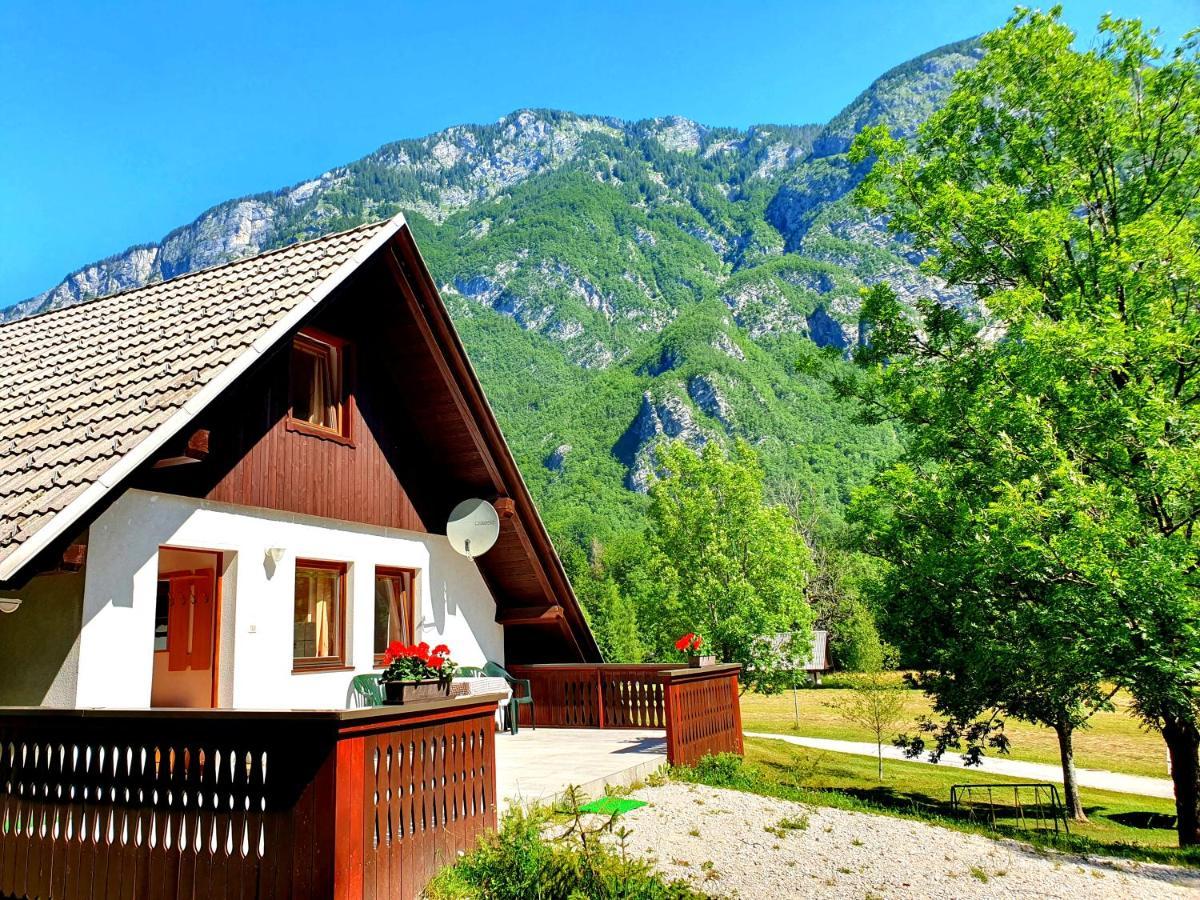 Star Apartment Bohinj